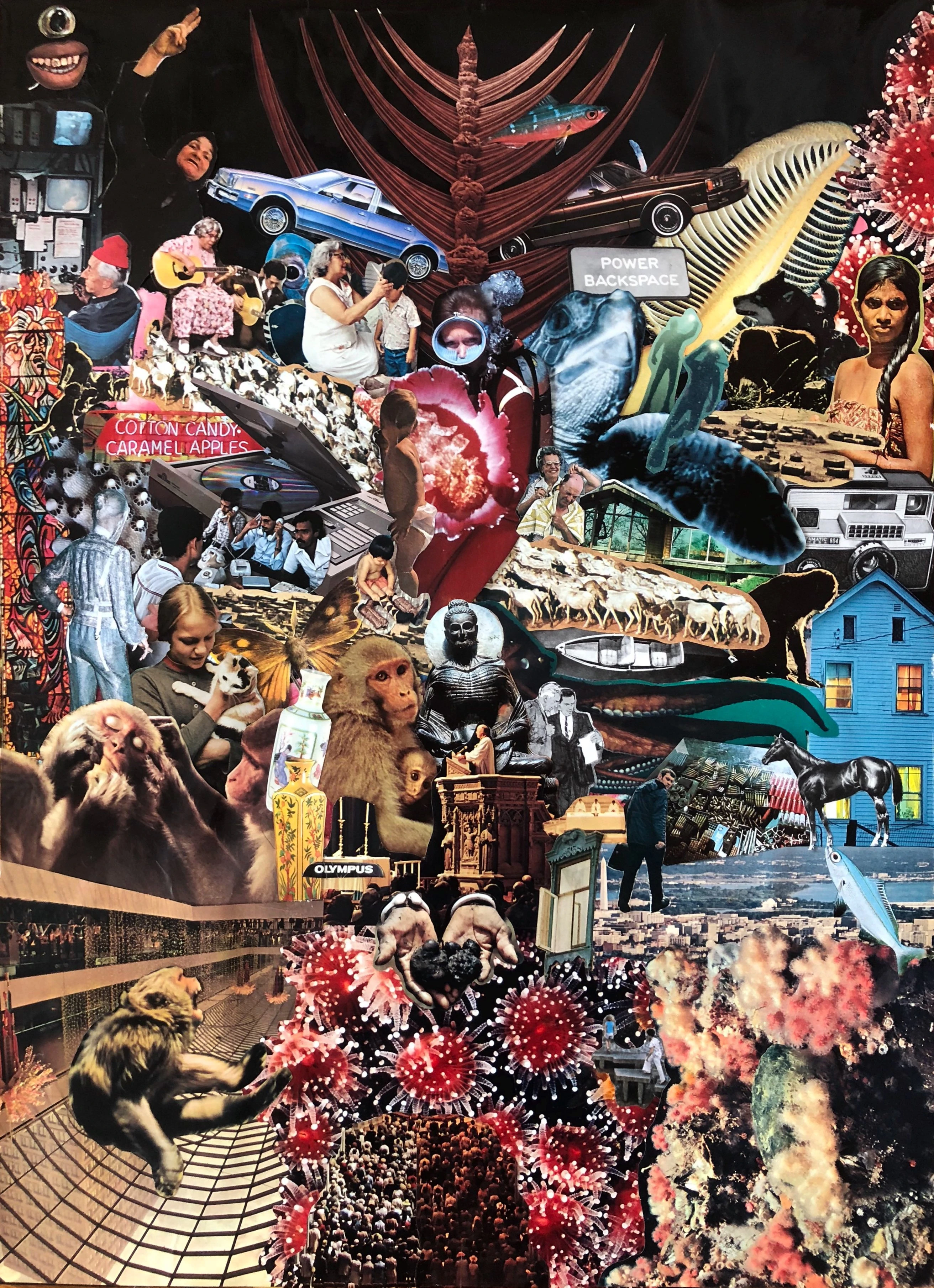 Olympus artwork image