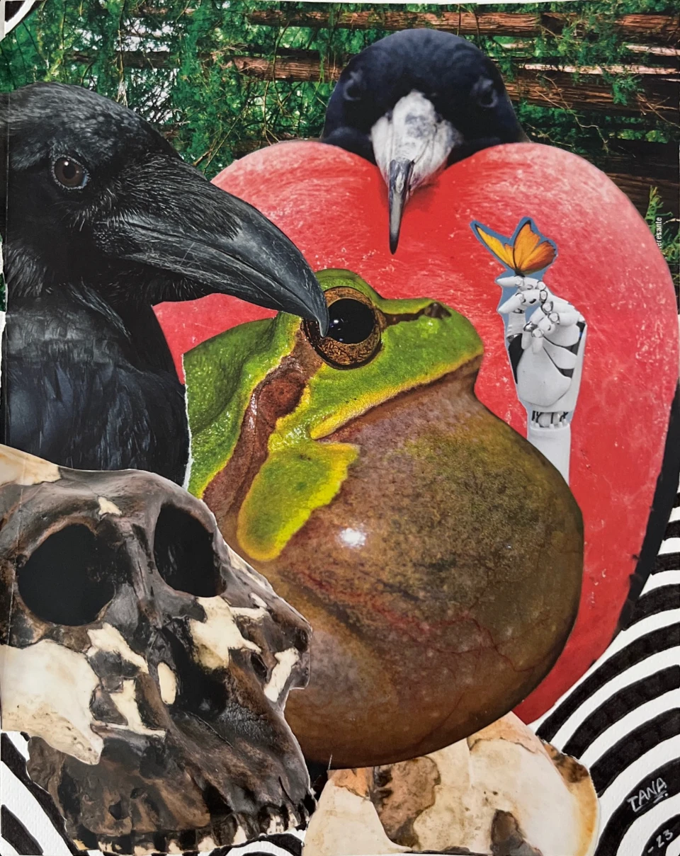 Contranatural artwork image