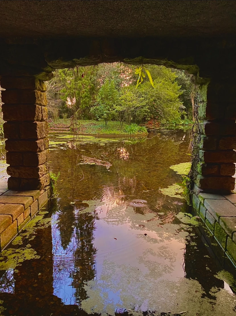 Secret garden artwork image