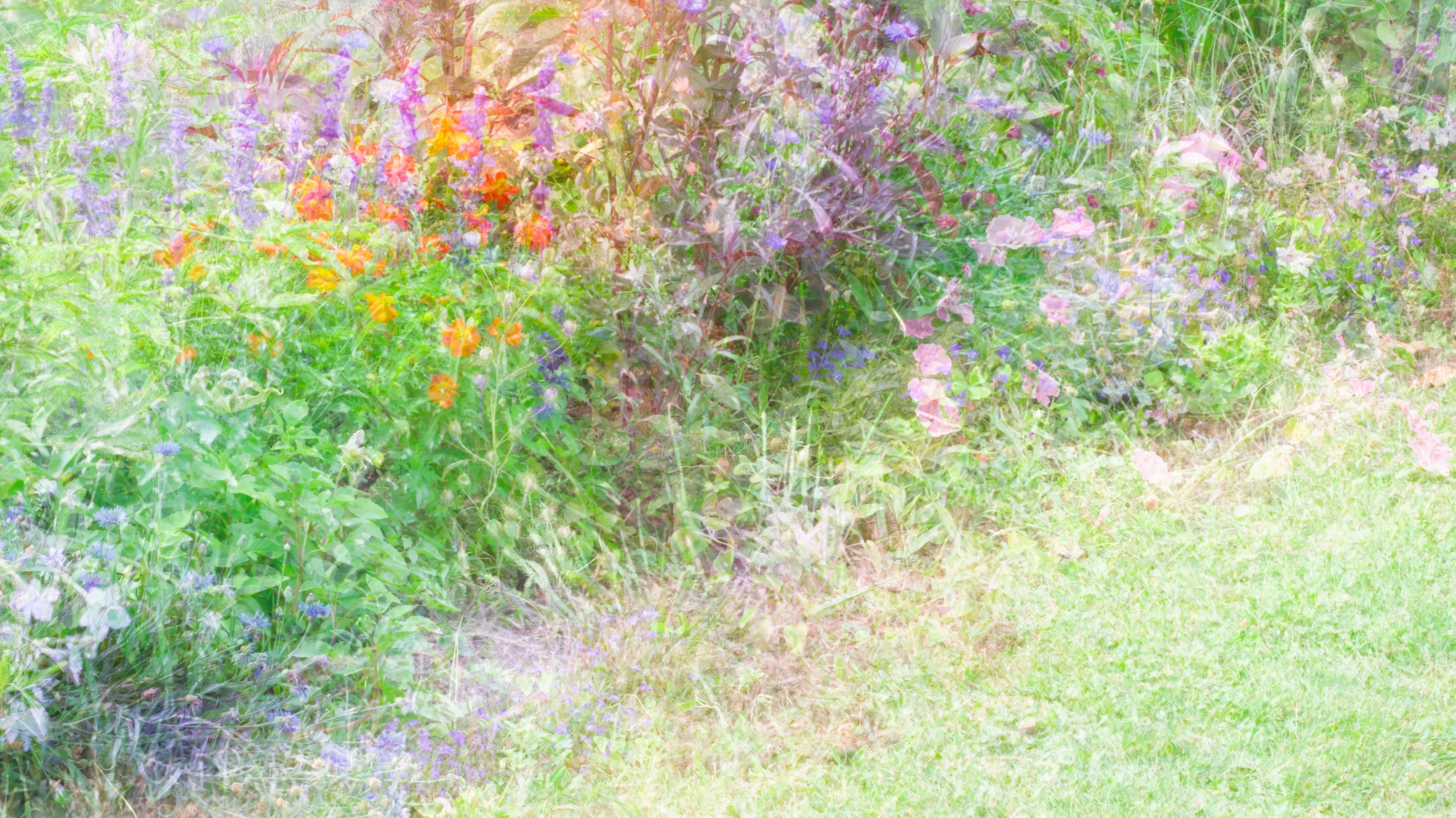 Summer Garden artwork image
