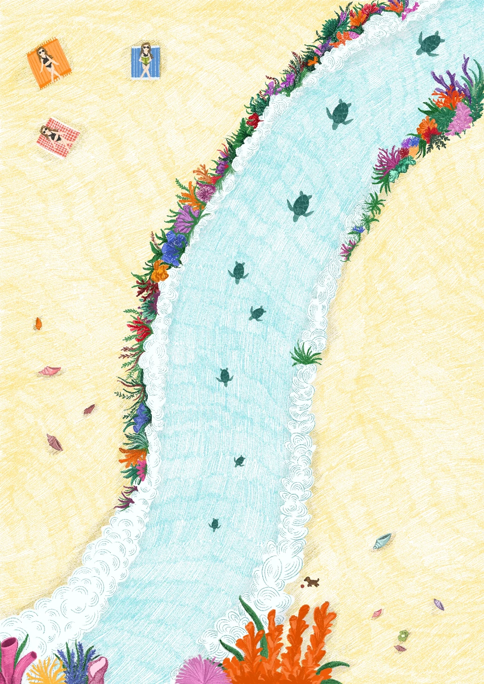 Turtles artwork image