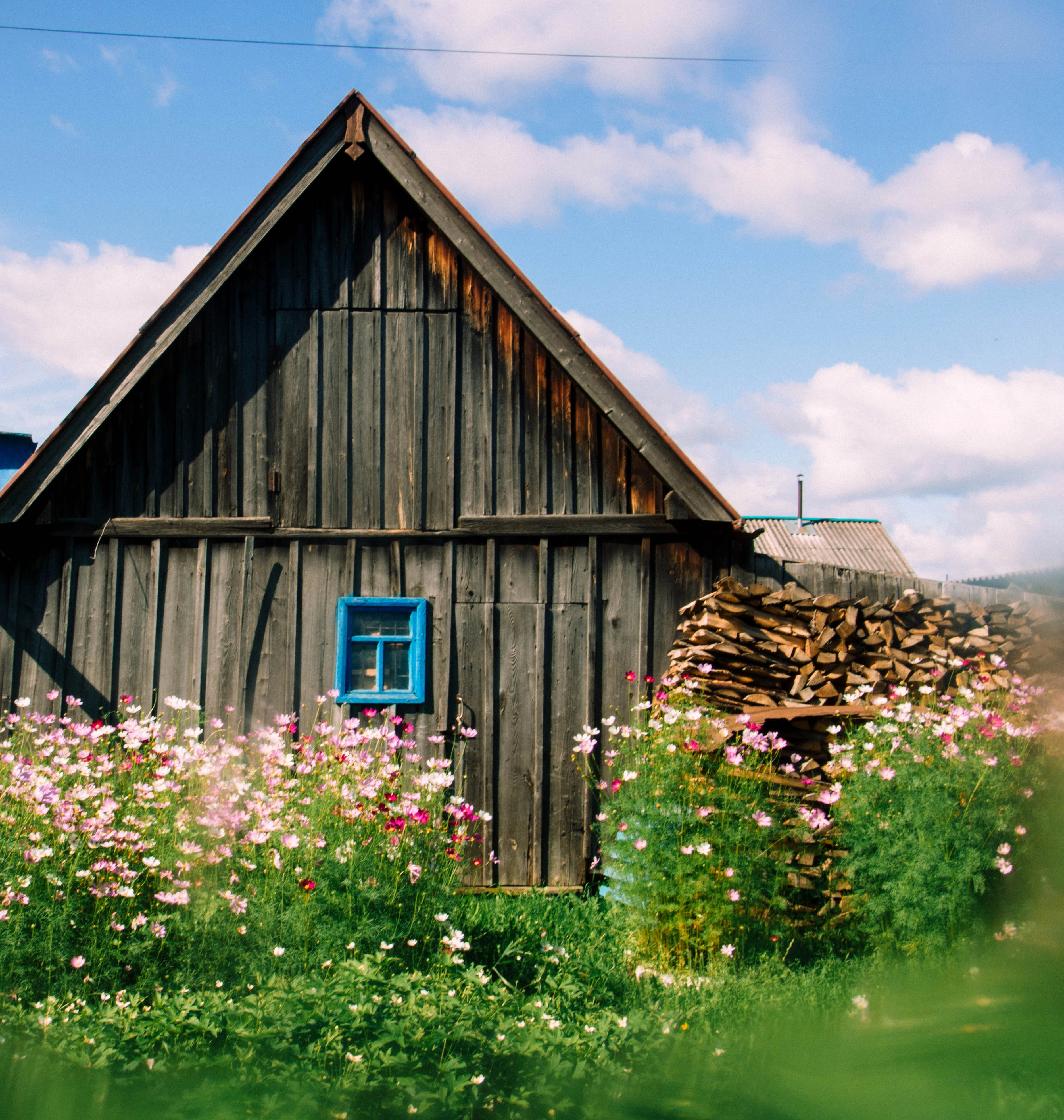 House of flowers artwork image