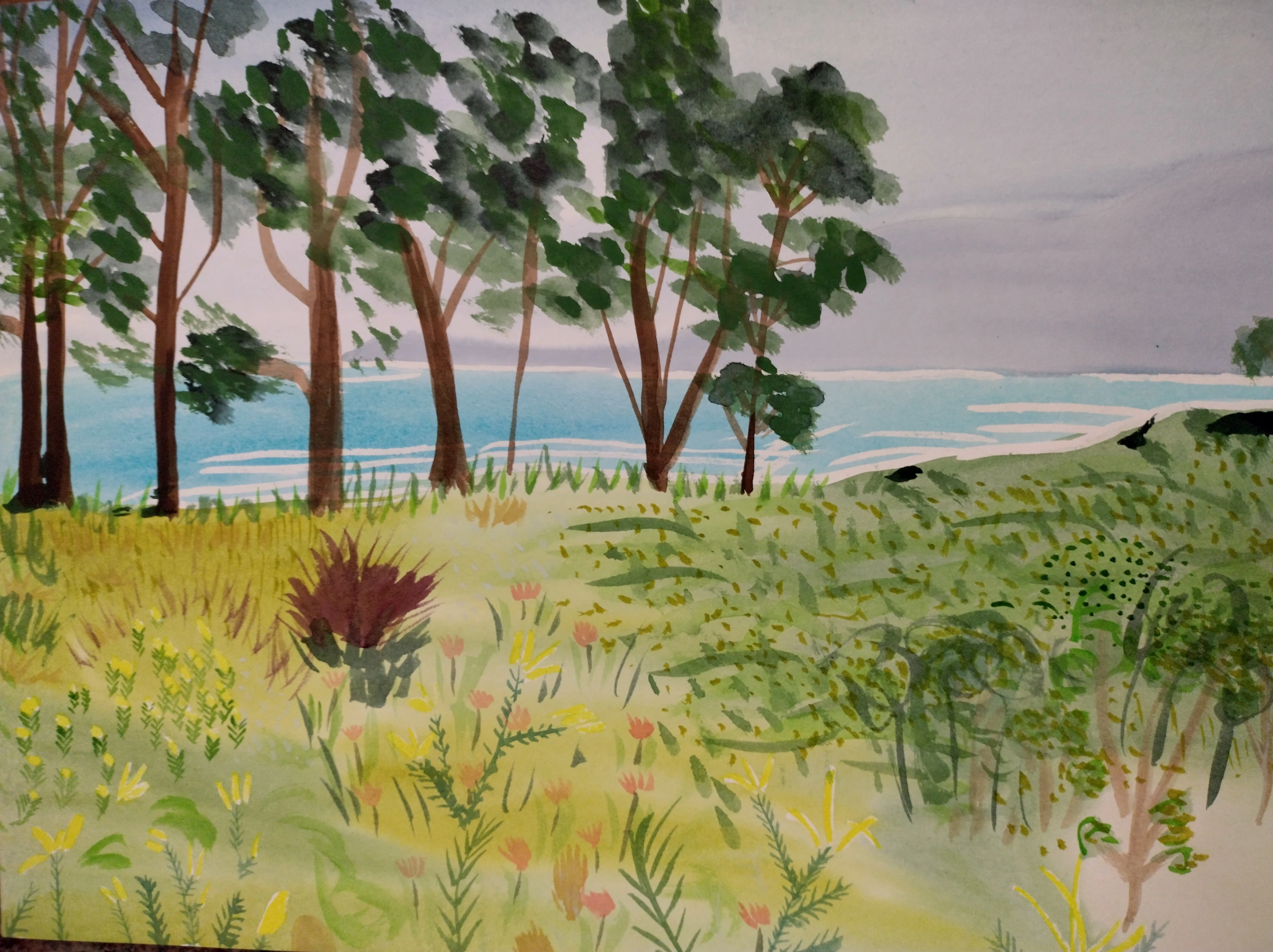 Tasmania artwork image